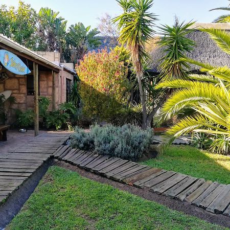 Saltycrax Backpackers And Surf Hostel Bloubergstrand Exterior foto