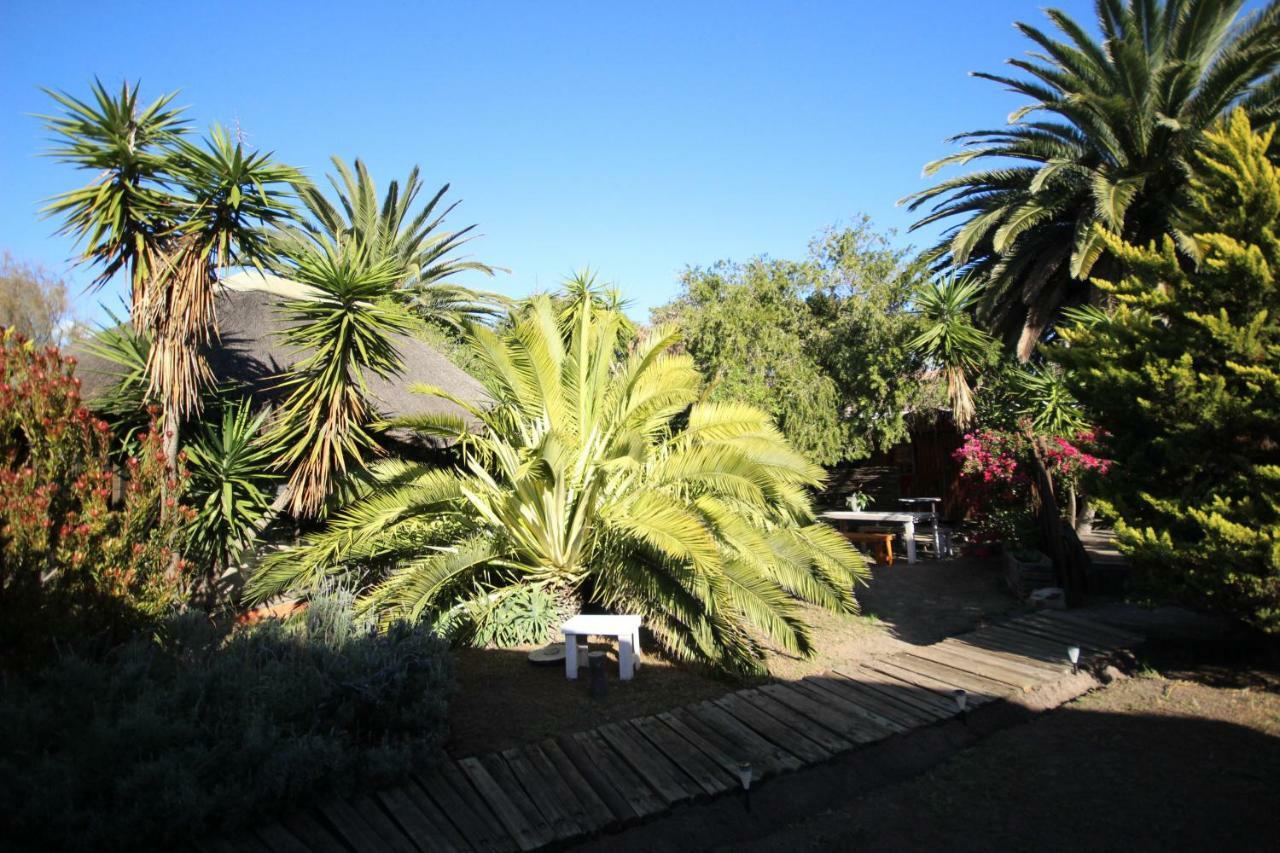 Saltycrax Backpackers And Surf Hostel Bloubergstrand Exterior foto