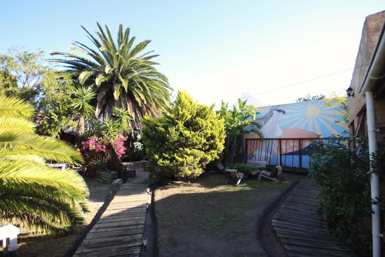 Saltycrax Backpackers And Surf Hostel Bloubergstrand Exterior foto