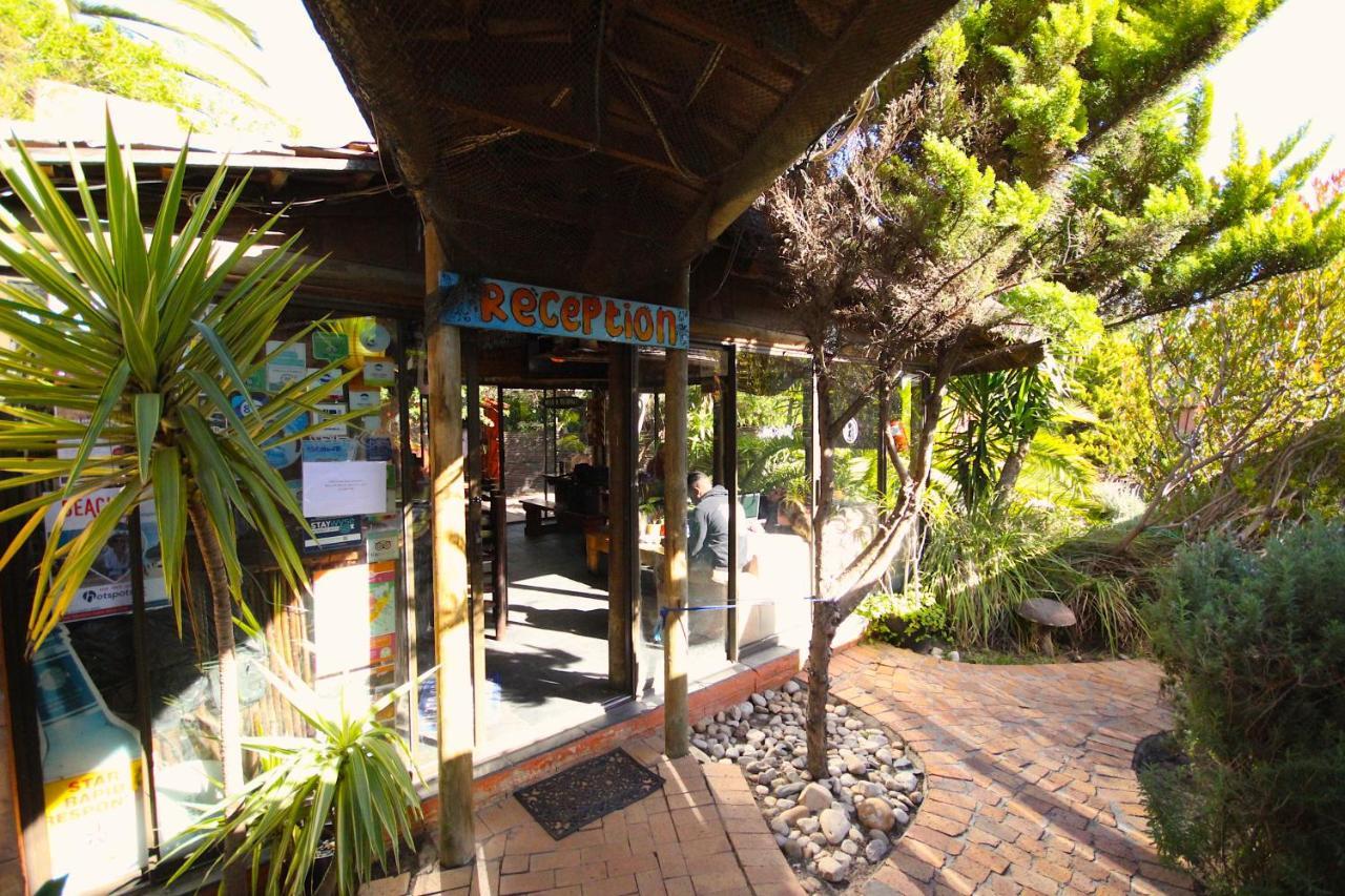 Saltycrax Backpackers And Surf Hostel Bloubergstrand Exterior foto