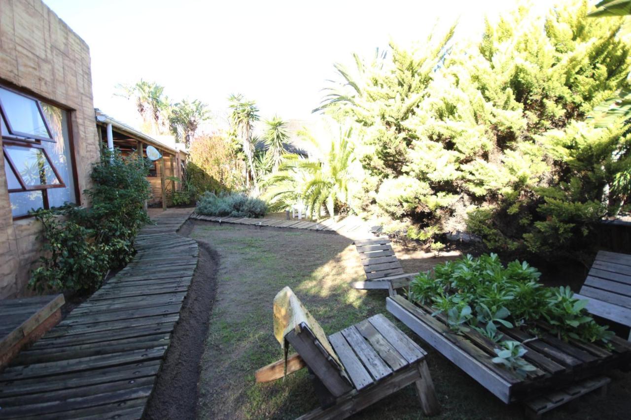 Saltycrax Backpackers And Surf Hostel Bloubergstrand Exterior foto